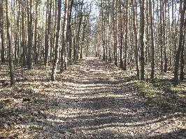 dsc04303.jpg