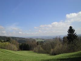 foto3.jpg