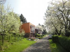foto4.jpg