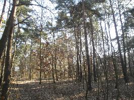dsc04297.jpg