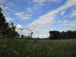 foto1.jpg