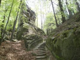 foto2.jpg