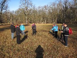 img-8085.jpg