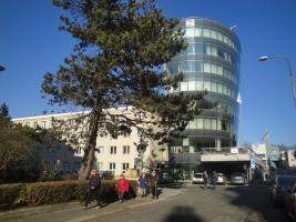 foto31.jpg